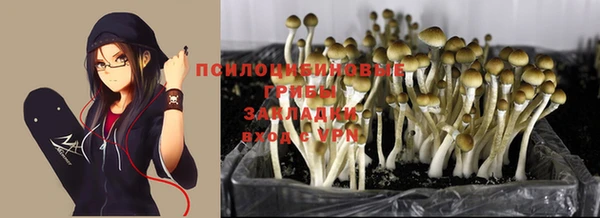 твердый Верхнеуральск