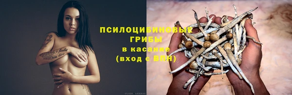 трава Верхний Тагил