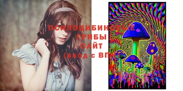 а пвп мука Верея
