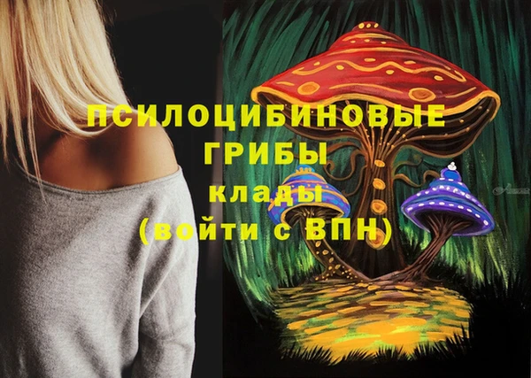 марки lsd Бежецк