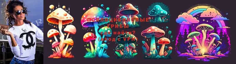 купить   Вичуга  Псилоцибиновые грибы MAGIC MUSHROOMS 