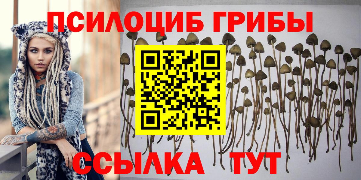 Псилоцибиновые грибы MAGIC MUSHROOMS  Вичуга 