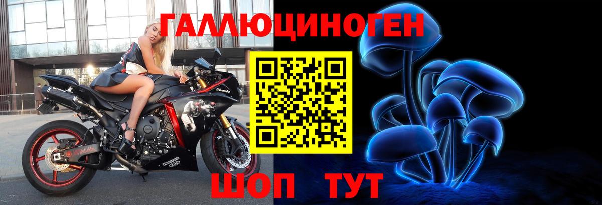 Псилоцибиновые грибы Psilocybe Вичуга