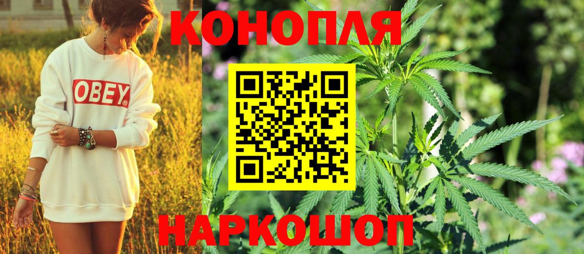 Конопля LSD WEED  Вичуга  Бошки Шишки тримм  Канабис MAZAR 